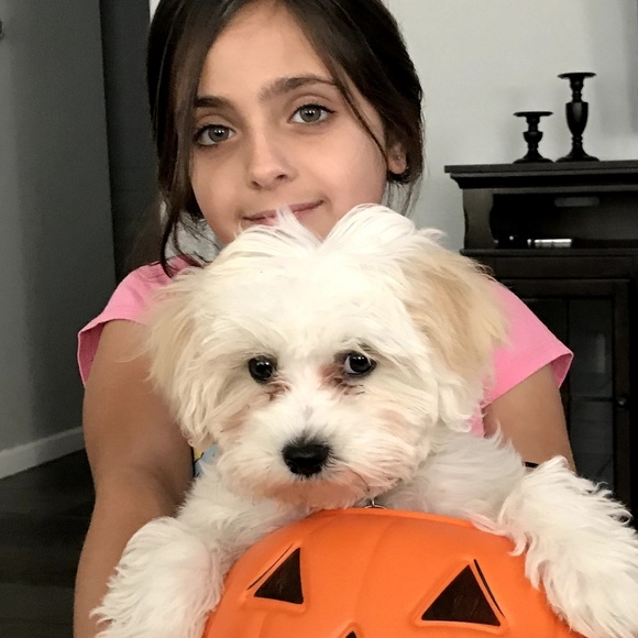 Meet your Posher, Randa - Picture 4 of 6